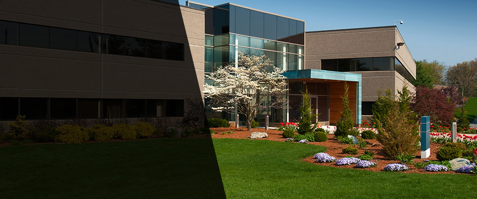 Orange Park Landscapers