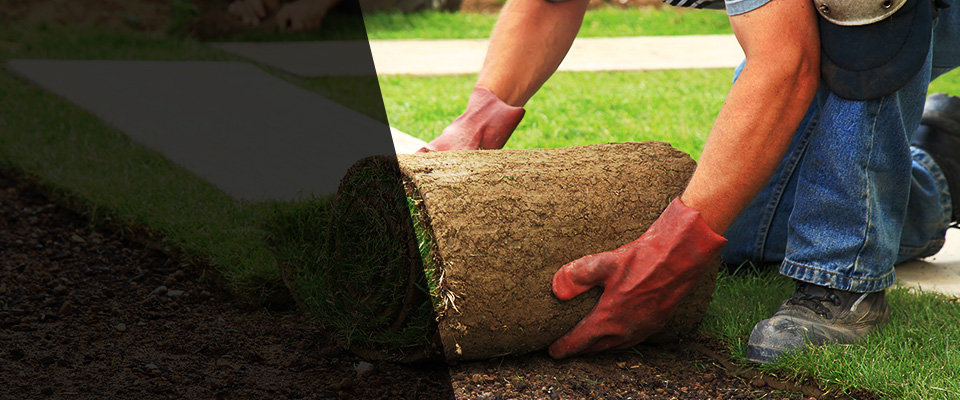 Orange Park Landscapers